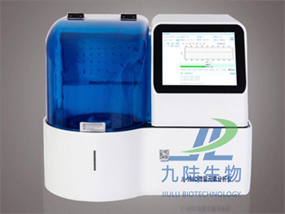 草莓视频黄色下载3